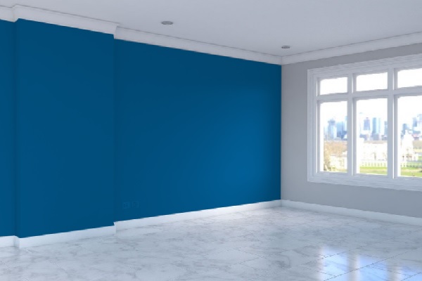 Blue Garage Walls: The Bold Revolution Your Garage Needs