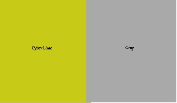 cyber lime and gray