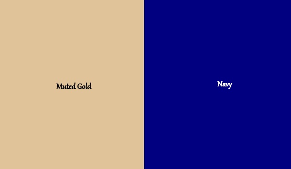 muted gold and navy
