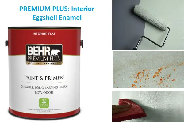 PREMIUM PLUS Interior Eggshell Enamel