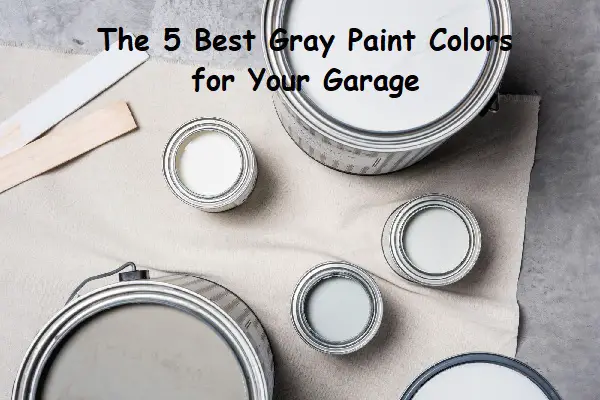 best gray for walls