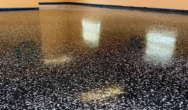 black garage floor epoxy colors