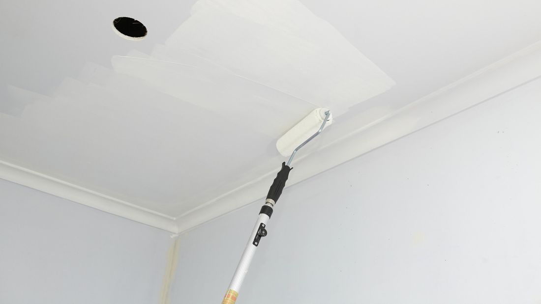 ceiling paint roller cover