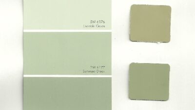 Svelte Sage Sherwin Williams: The Tranquil Green Hue