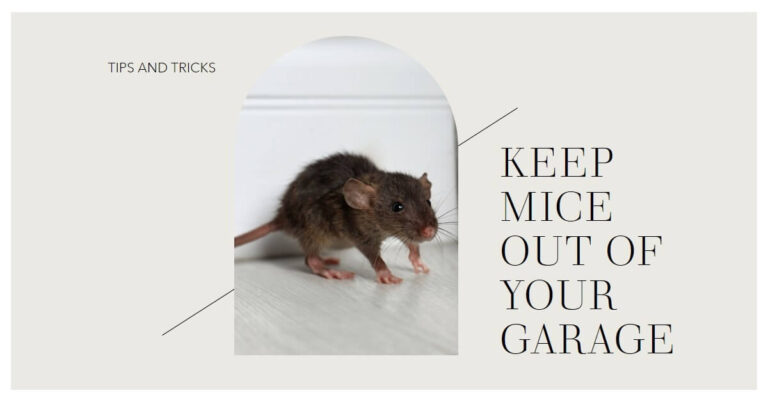 how to keep mice out of garage