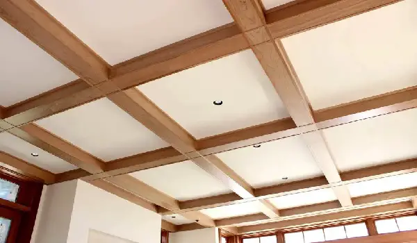 beamed garage ceiling