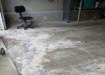 Pitted Concrete Floor: Causes and Effective Repair Solutions