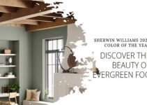 Sherwin Williams 2022 Color of the Year: Evergreen Fog