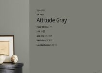 Unlocking the Beauty of Attitude Grey Sherwin Williams